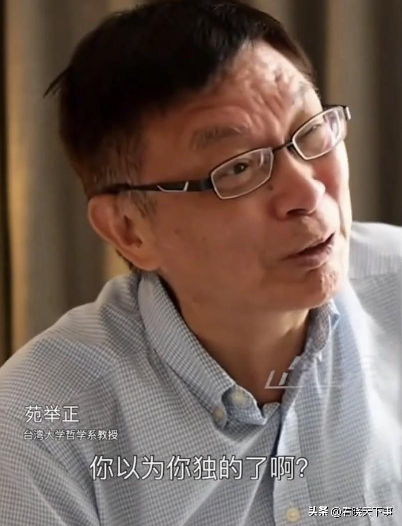 好话三遍不如耳光一记！台湾教授苑举在采访时指出了大陆和“台独”的区别：你以为你有