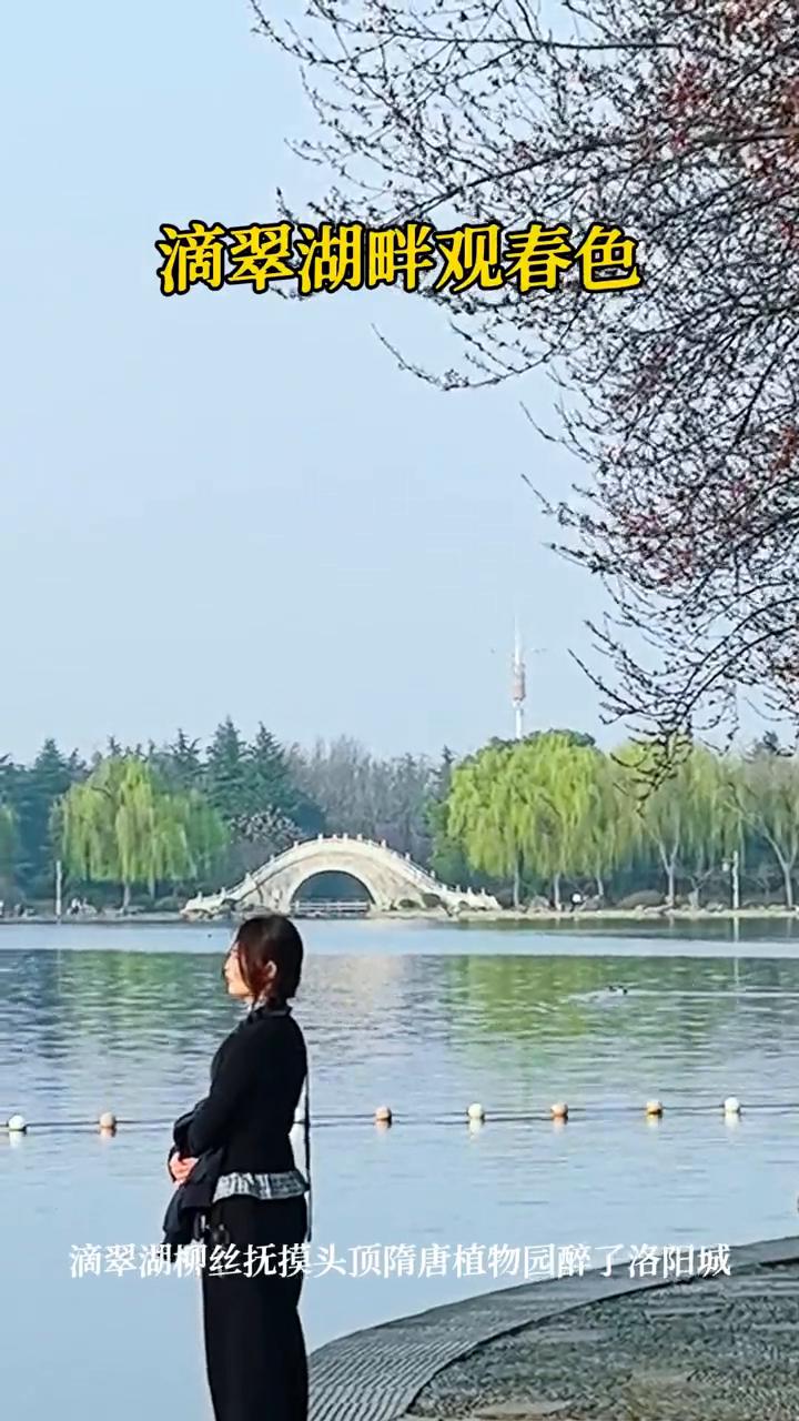 滴翠湖畔观春色。
滴翠湖柳丝抚摸头顶，隋唐植物园醉了洛阳城。