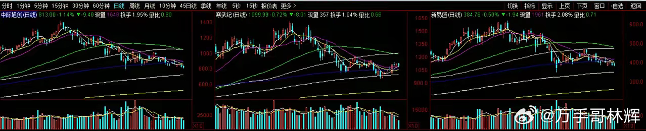 基金抱团真的是“故意高位接盘”吗？披露的半年报显示，基金上半年主动加仓最多的是中