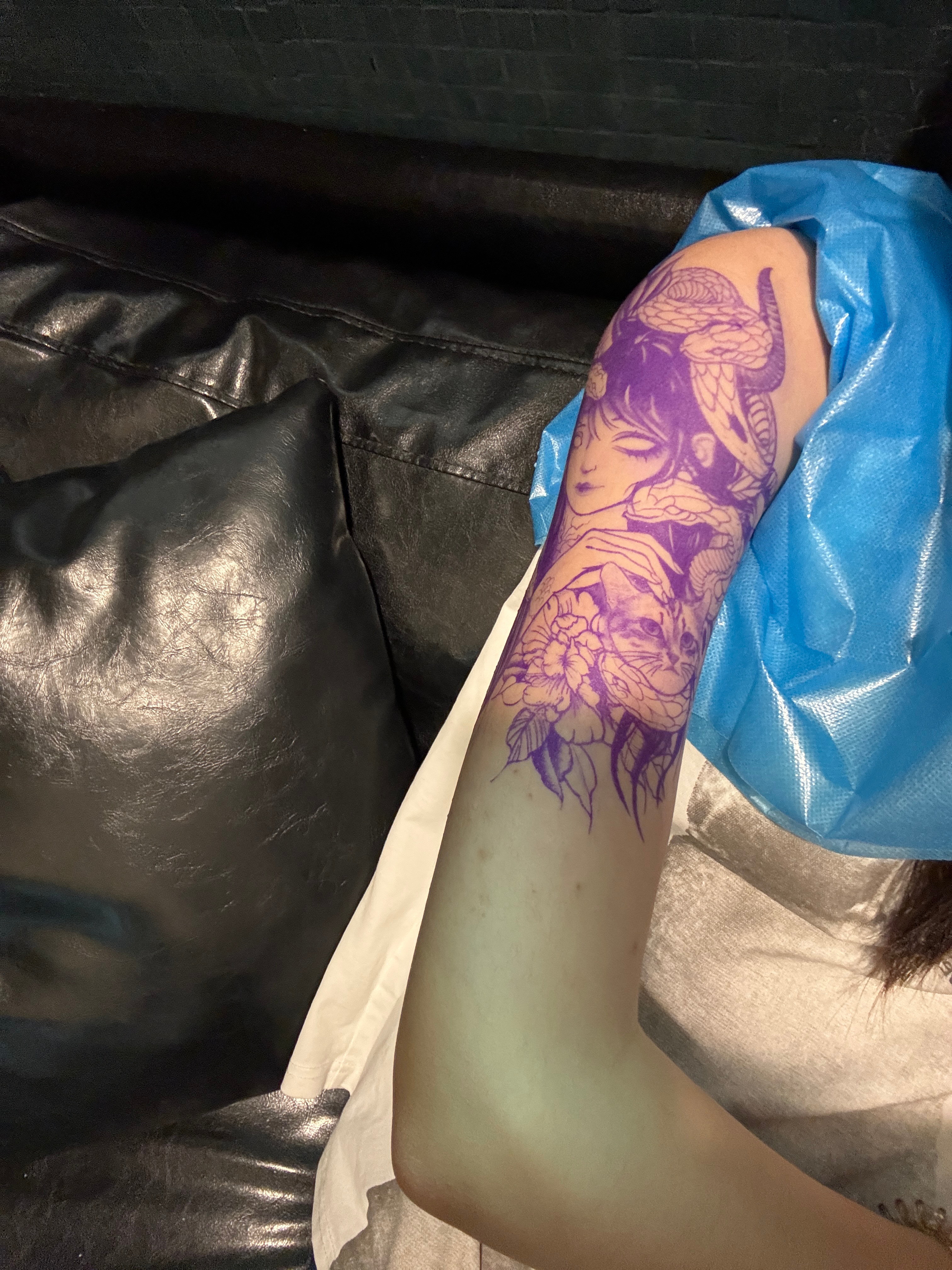 属蛇的摩羯女养了一只小猫 快六个小时 真的痛爽了 ​​​