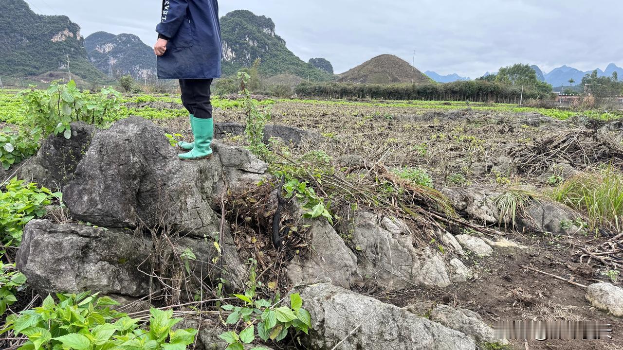 建国后禁止动物成精，蛇形大石头，这是要飞升的节奏。蛇像奇观