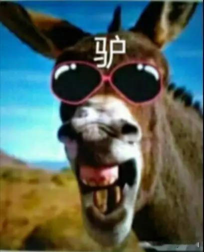 最近一篇《中国博士人数已经超过驴的存栏量？》网文广泛传播，好像是搞笑，又好像是讽