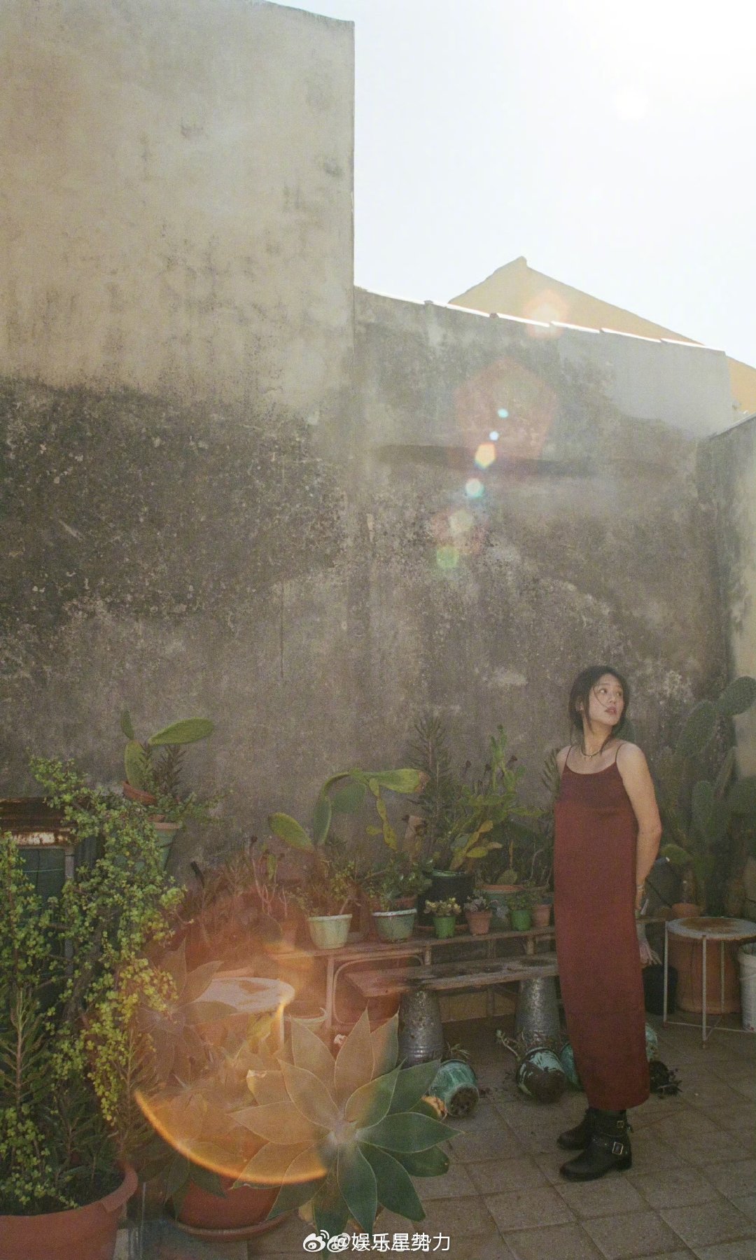 马思纯有生命力的美  更新西西里旅行碎片，好有生命力的美～ 