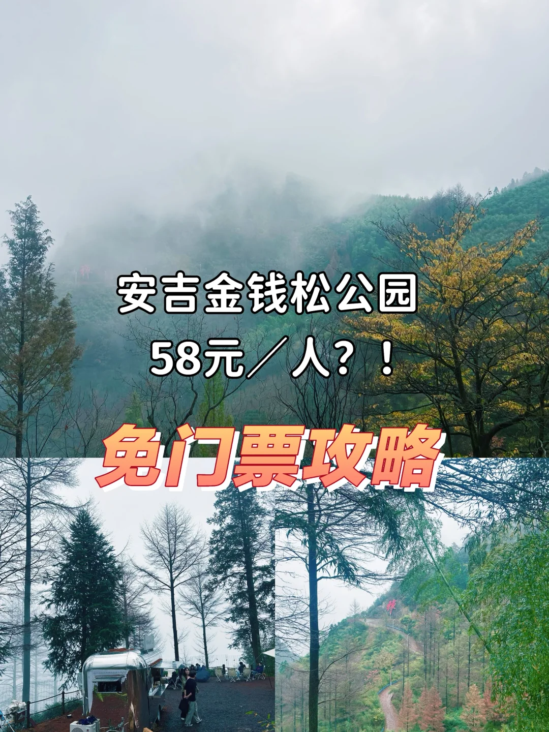 本地人教你：如何不花钱游览安吉金钱松公园