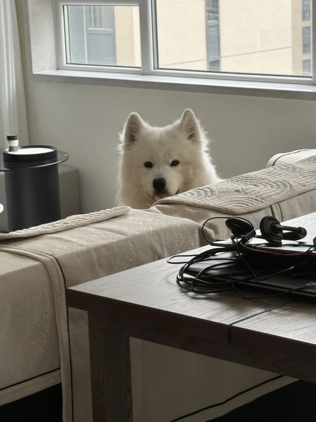 他有点紧张呢，是不是干啥坏事了？