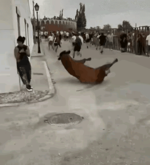 真揪心！公牛发怒，她却只顾玩手机，下一秒悲剧了！
 
西班牙潘普洛纳街头，公牛发