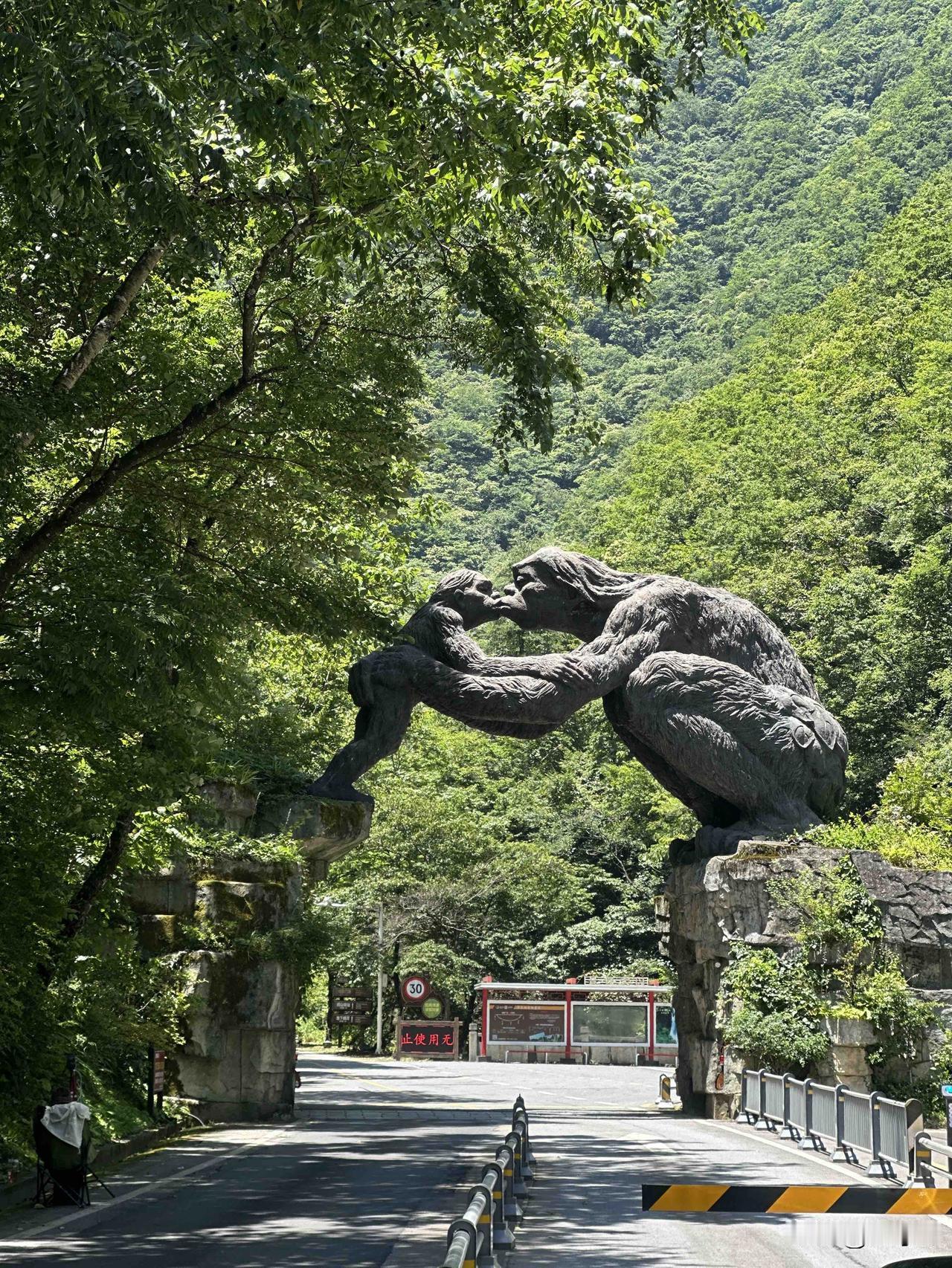 📍神农架·官门山景区
门口的野人母子、地下暗河里的冷藏酒坛、路边的网红悬挂蜂箱
