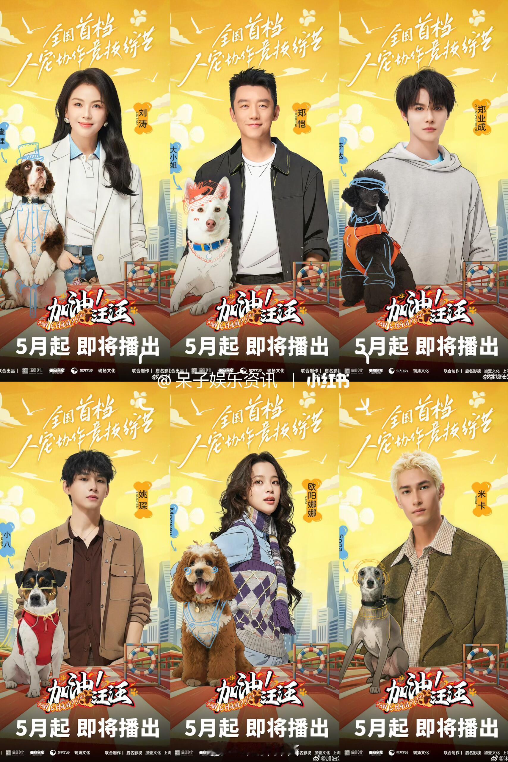 宠物竞技综艺《加油汪汪》五月播出全国首档人宠协作竞技综艺《加油汪汪》即将五月播出