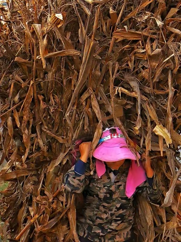 病重奶奶遭亲人冷落，孙子举动刺痛人心
 
我刷到那段视频的时候，盯着屏幕半天没说