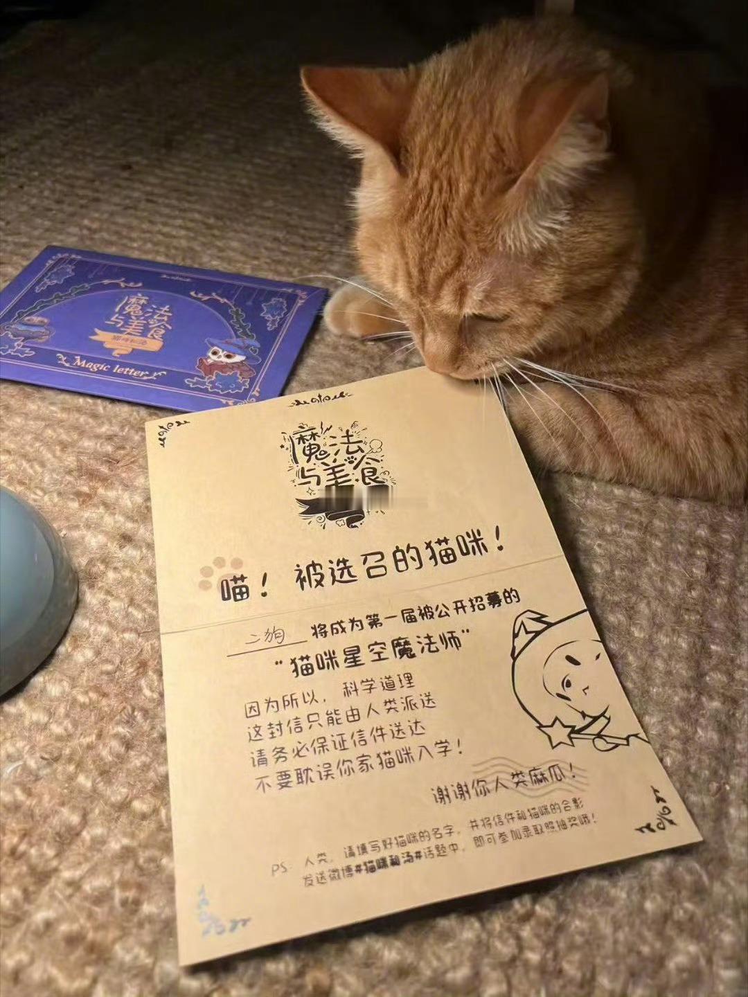 猫咪和汤新作首曝新增“猫咪魔法师”职业，首曝角色“二狗”为星空魔法师。猫咪和汤2