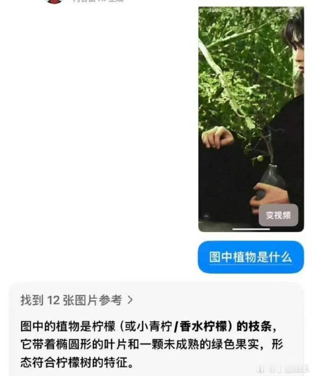 田栩宁抱的植物是柠檬田栩宁杂志里抱的植物是柠檬田栩宁抱的植物是柠檬 ！老公是柠檬