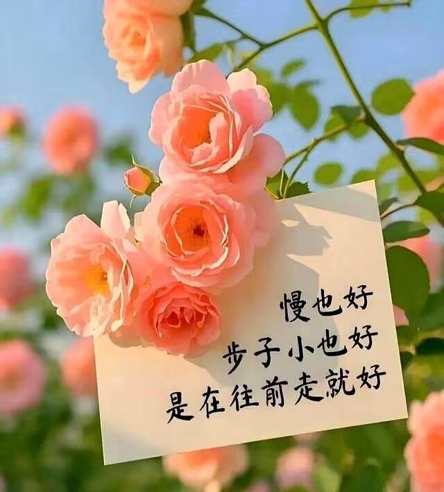 春节与智己从容出行