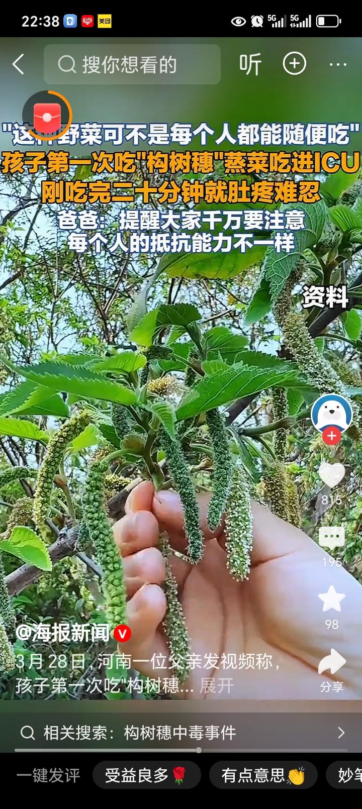 河南许昌一男孩首次食用构树穗后突发过敏性休克，紧急送医ICU抢救。

这起事件让