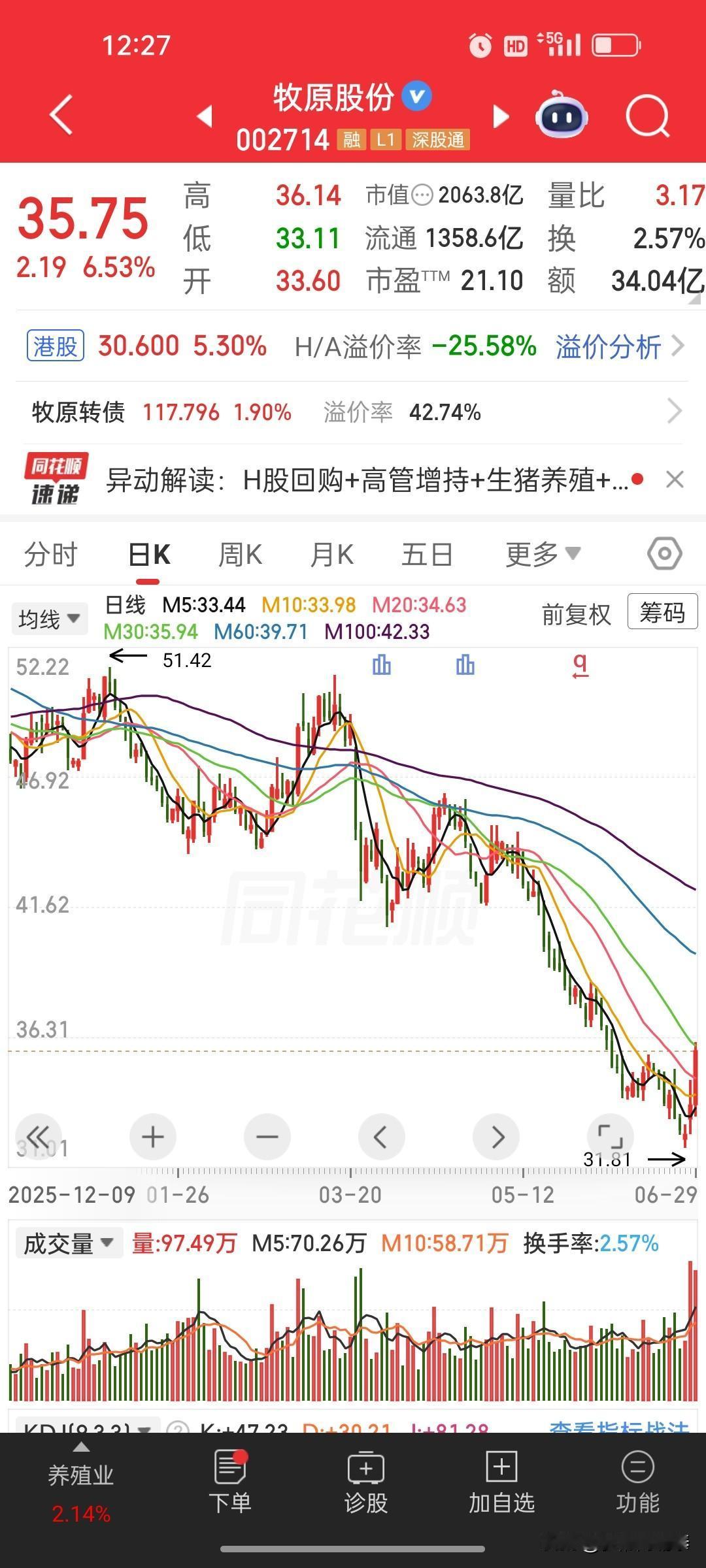 生猪龙头牧原股份，底部放量+黎明之星十字星+回购增持+生猪周期逻辑

生猪龙头牧