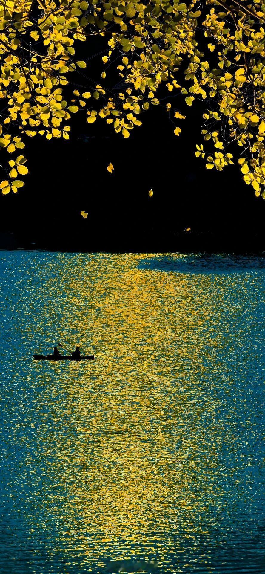 没人知道，每一条人间的河，会汹涌成怎样的美丽世界晚安