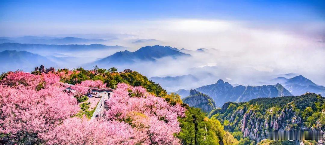 敏感内耗的
本质是：
高估了
人情的温度，
低估了
人心的凉薄。

个人精神内耗