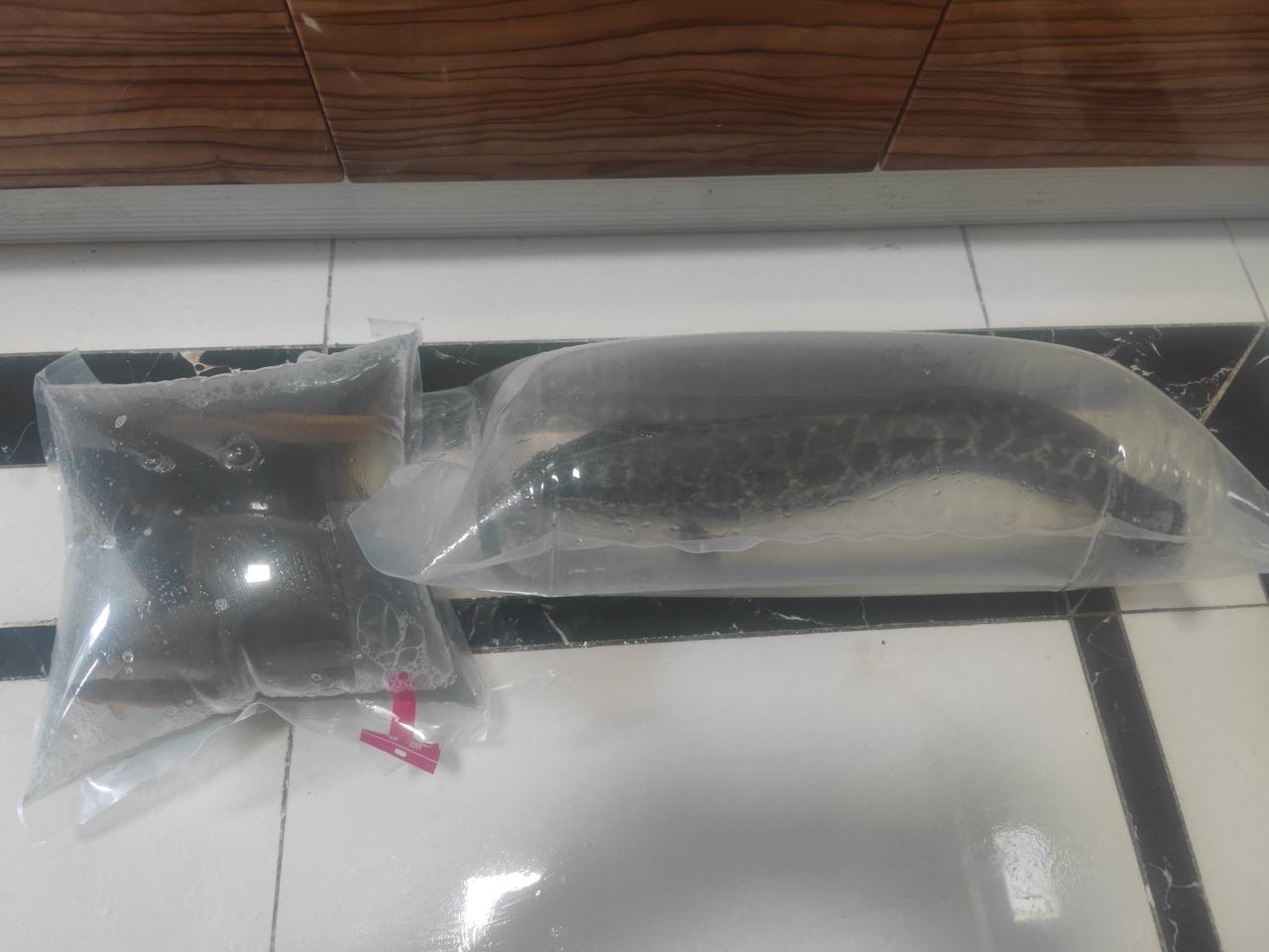 活鱼上门的三代持续改进：
第一代：充氧
第二代：充氧+冰块
第三代：充氧+冰块+