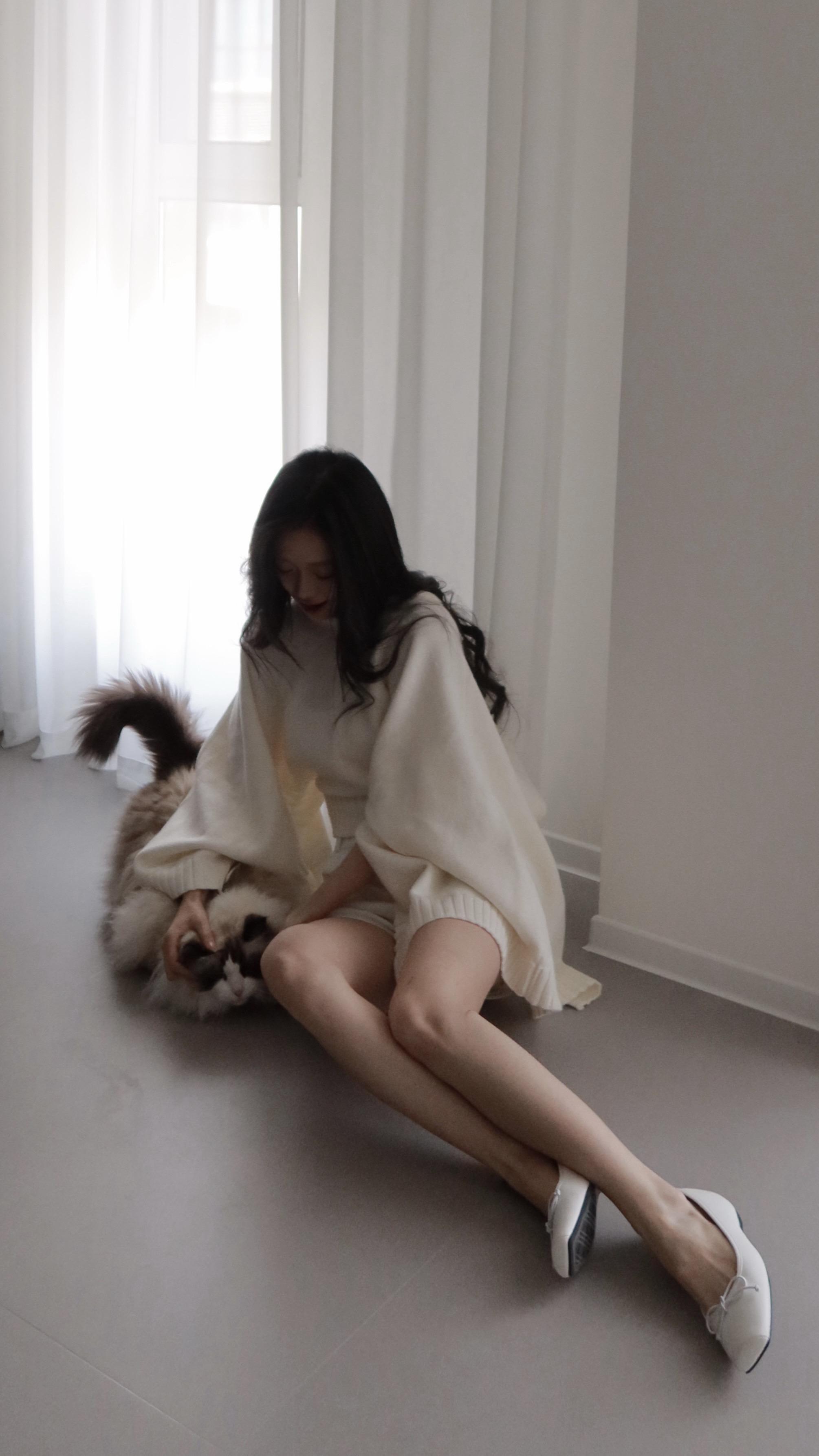 和🐈