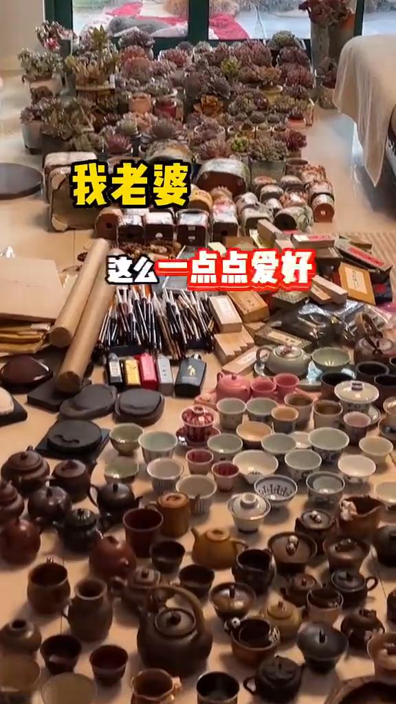 我老婆就这么一点点爱好，应该不过分吧家人们。这是转场，下面给你们展示。
人都有点