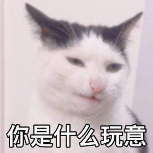 日本已彻底撕掉伪装小日子这是不想好了反反复复各种挑衅，现在竟然敢来台湾海峡了，我