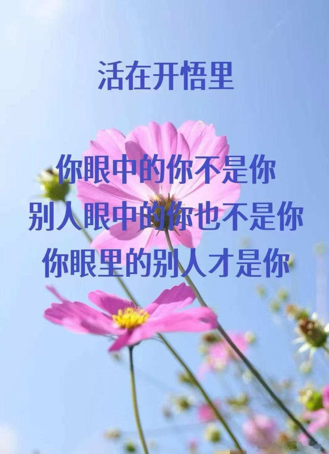 👑  我本无相，亦有万相  每相都是我，却又不是我早安[超话] ​​​