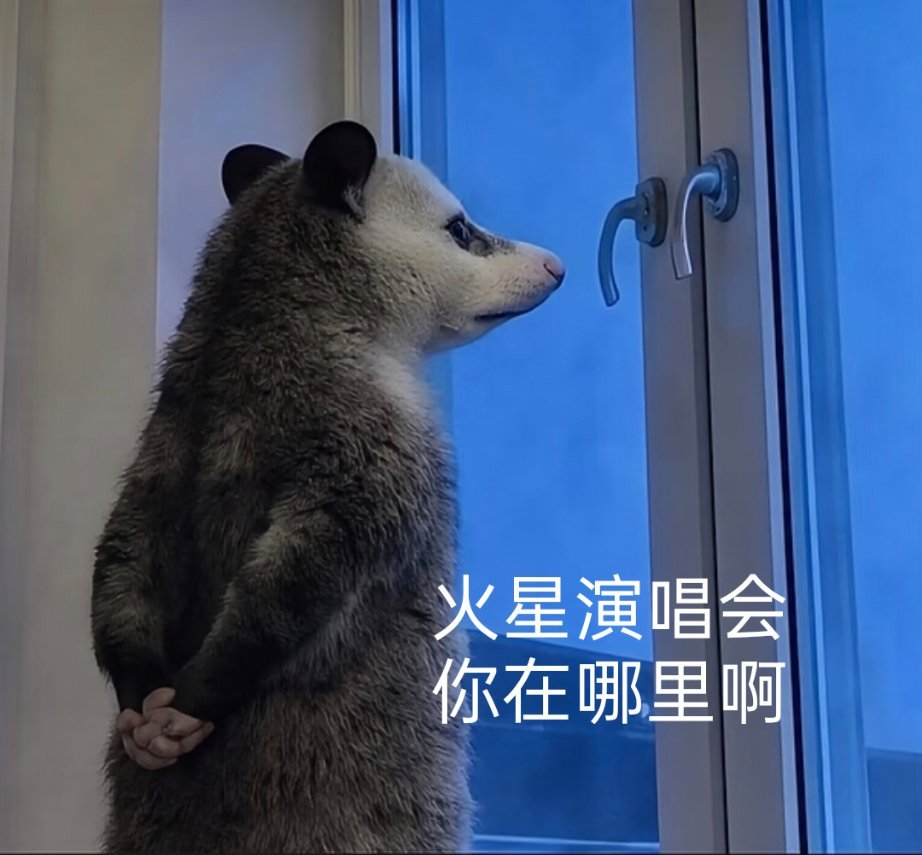 分享图片 