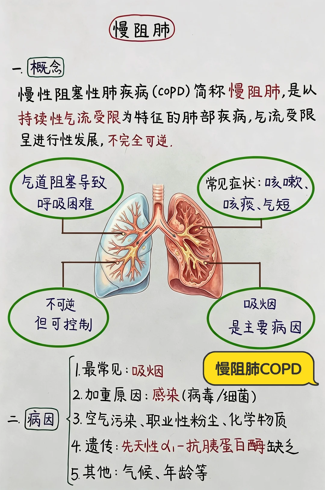 今日学习打卡——慢阻肺