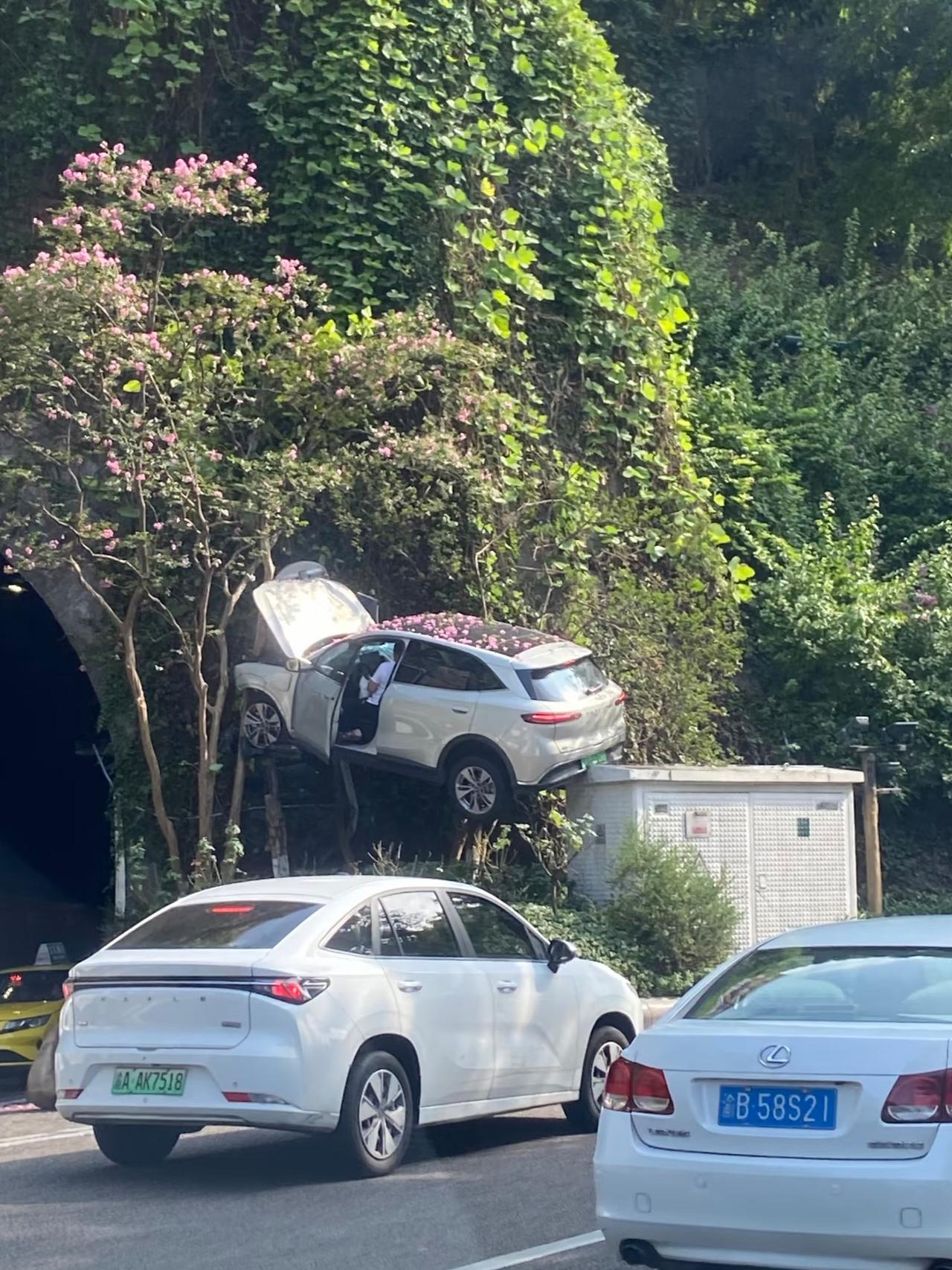 师傅，这里不让停车

谁能想到好好开车直接飞起来了，车顶还铺满了小花，看着又惊险