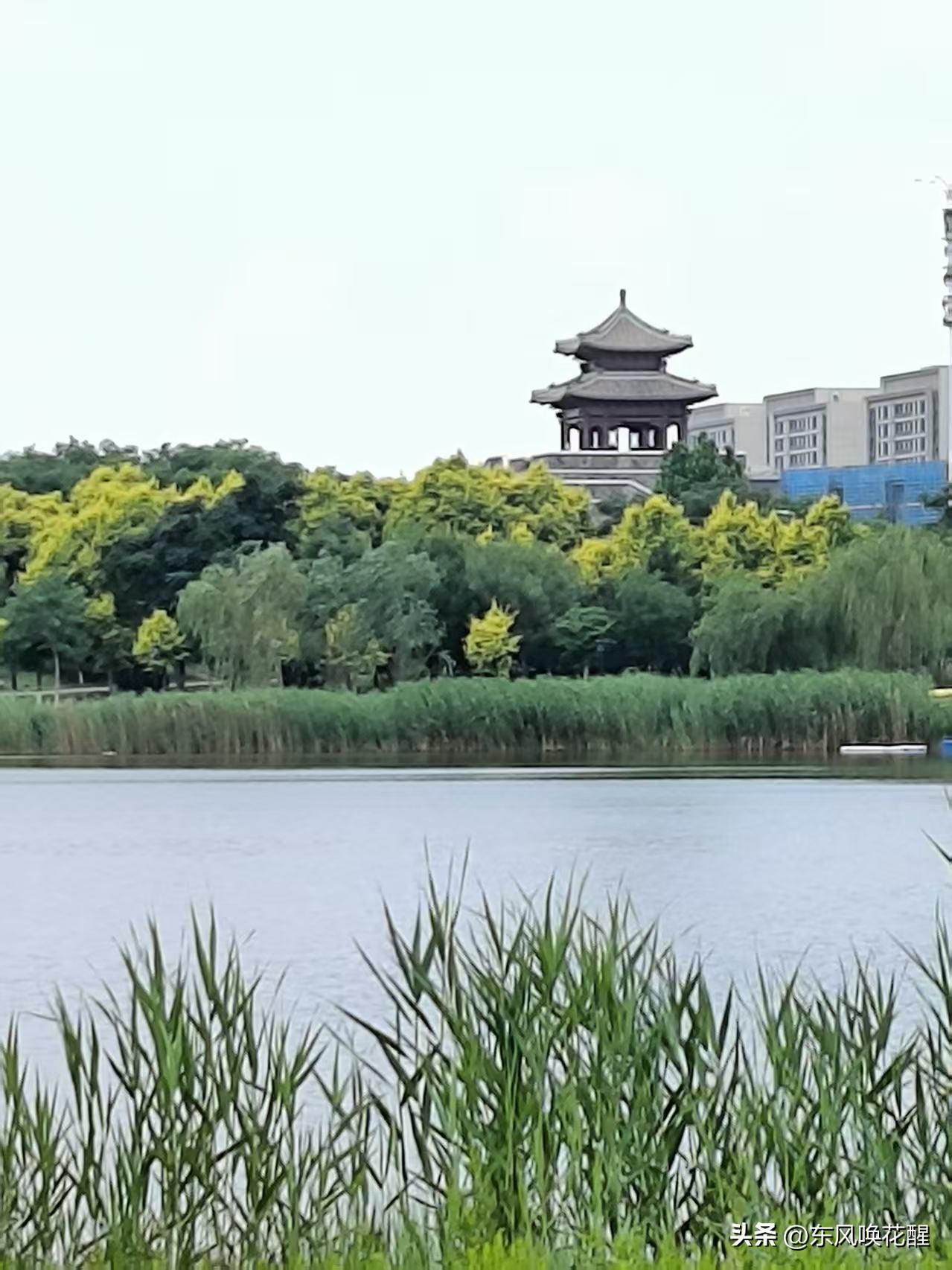 昨天上午的天气真好，下过雨后空气清新，阳光明媚，微风舒适。雨后的水西公园，风景更