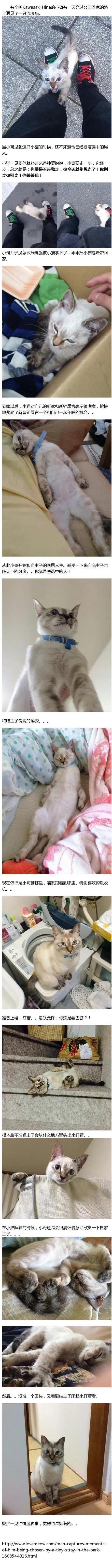 你是朕钦点的铲屎官！