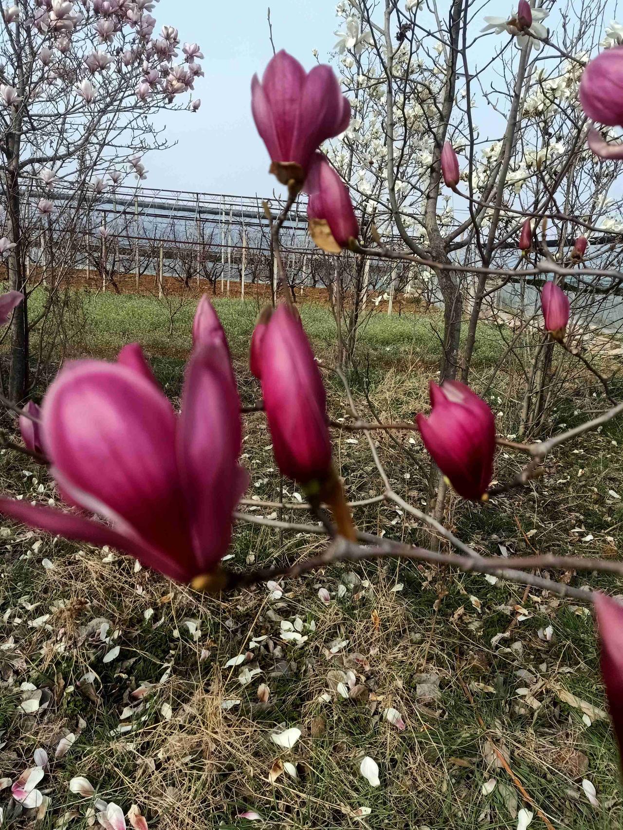我的今日状态：😁轻松愉快
我这里的天气：🌤️多云