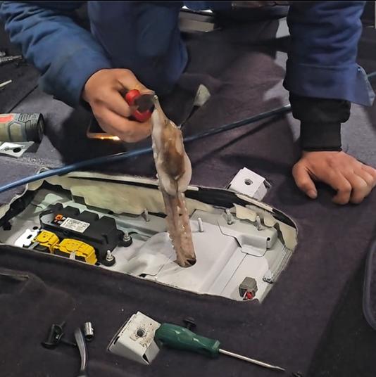 “隔着屏幕都有味！”近日，山东聊城，一男子买的八爪鱼钻进了车内，找了3天都没找到