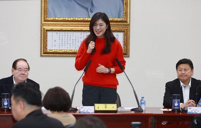 郑丽文：民进党要来堵两种人的嘴，一个名嘴、一个新闻从业人员

台湾中天主播林宸佑