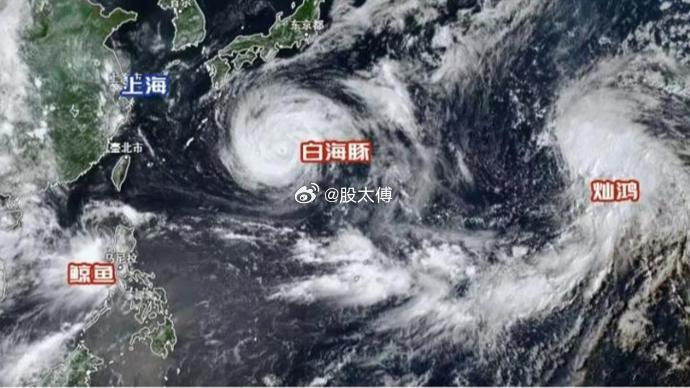 双台风白海豚鲸鱼一起发力紧急转发！8月5日18点四预警同步拉响：台风蓝色、暴雨蓝
