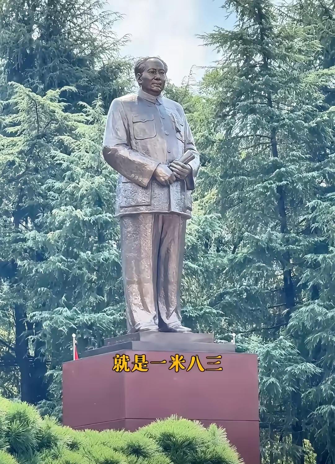 韶山这地方真的藏着种魔力，几万人挤在广场上居然静得能听见风声。没人催着排队，没人