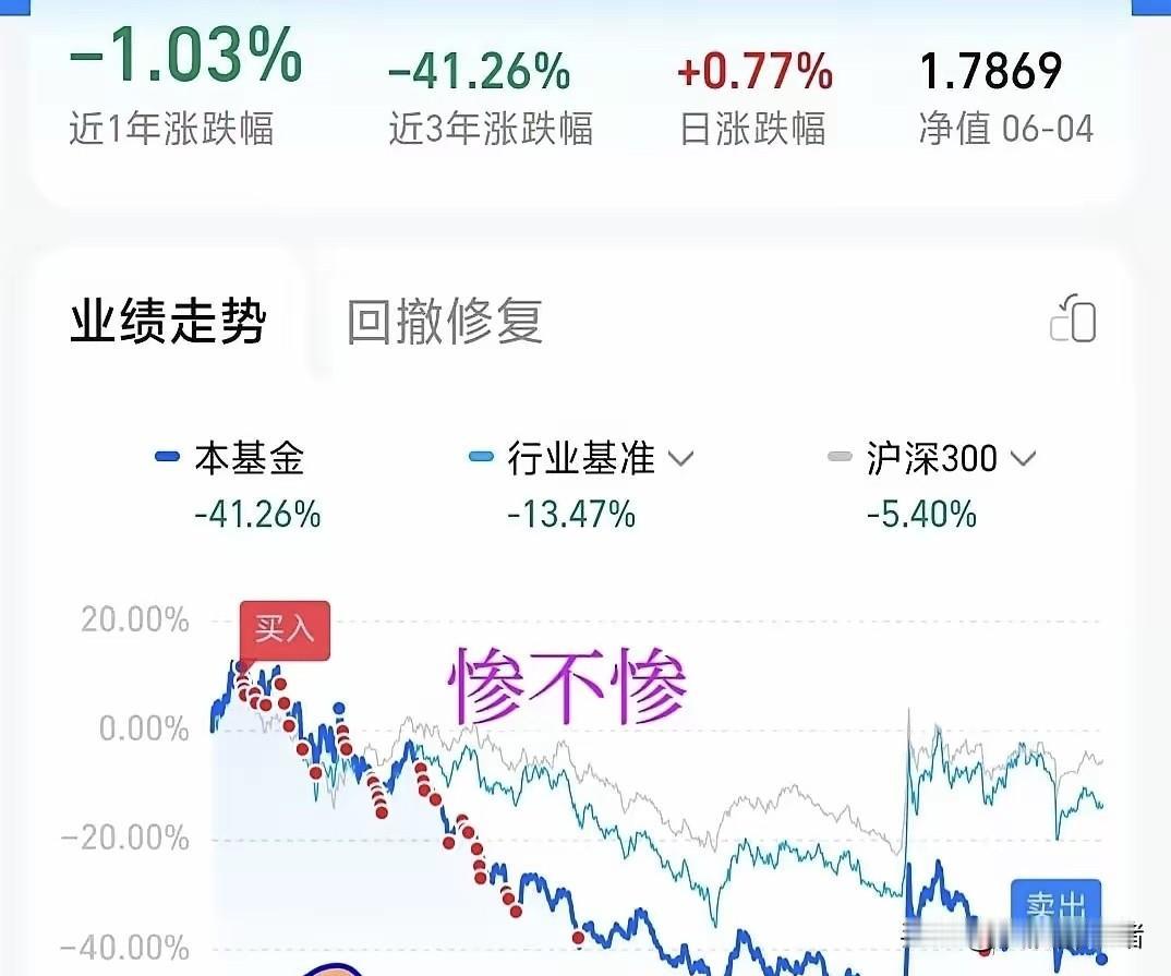 感觉跌到底反弹时又转了资金进去补仓，目的是早点回本，但反弹没有高度，就是震荡微微
