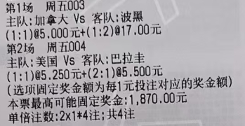 金哥足球作业：🚩003 世界杯 加拿大vs波黑 🚩004 世界杯 美国vs巴