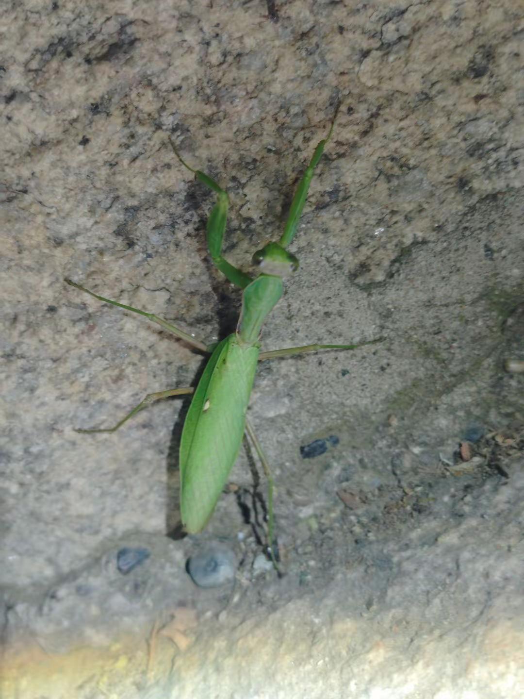 谁拦着