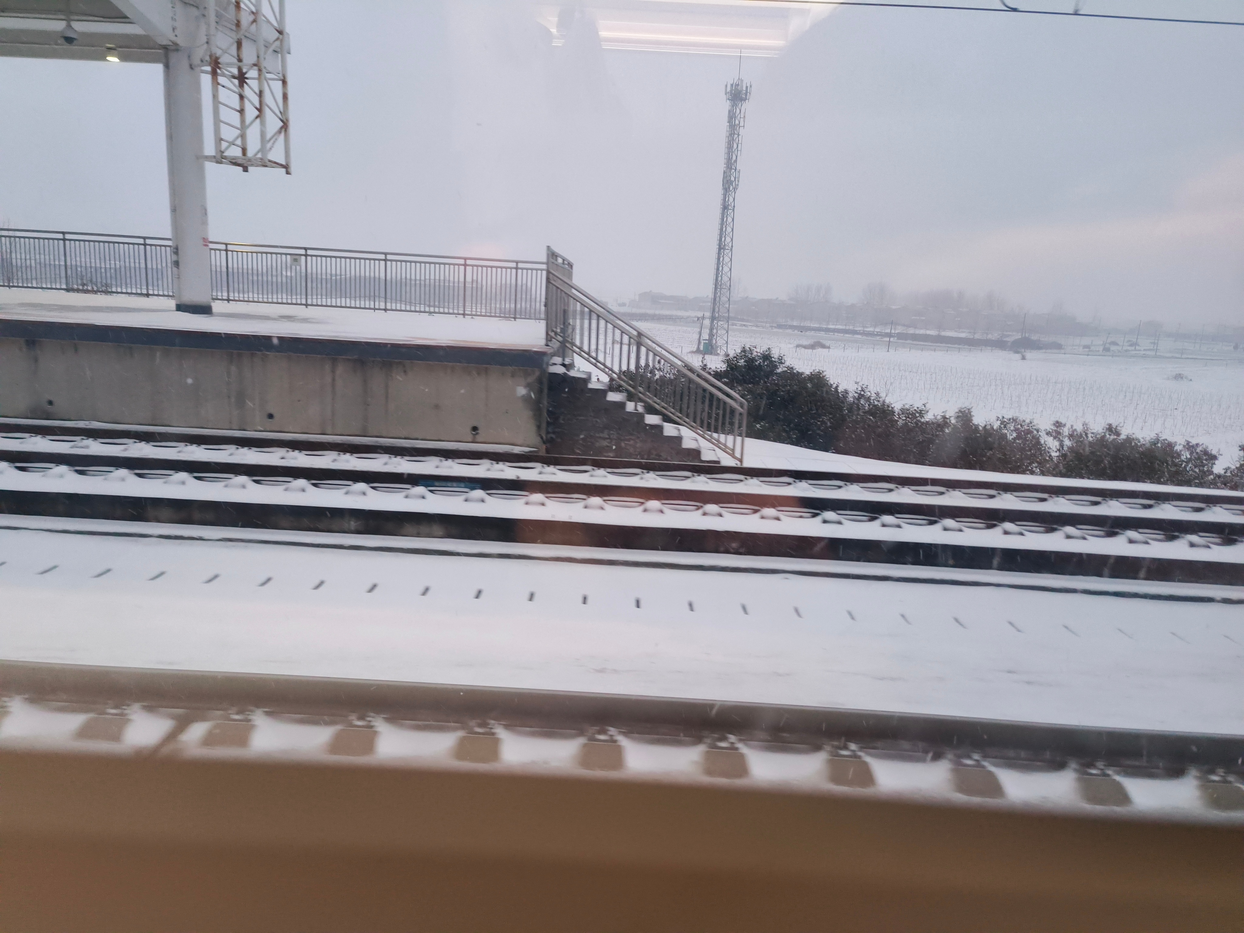 上海下雪了各地都在飘雪花儿，“归心似箭”变成“风雪兼程”了给高铁按下了慢放键——