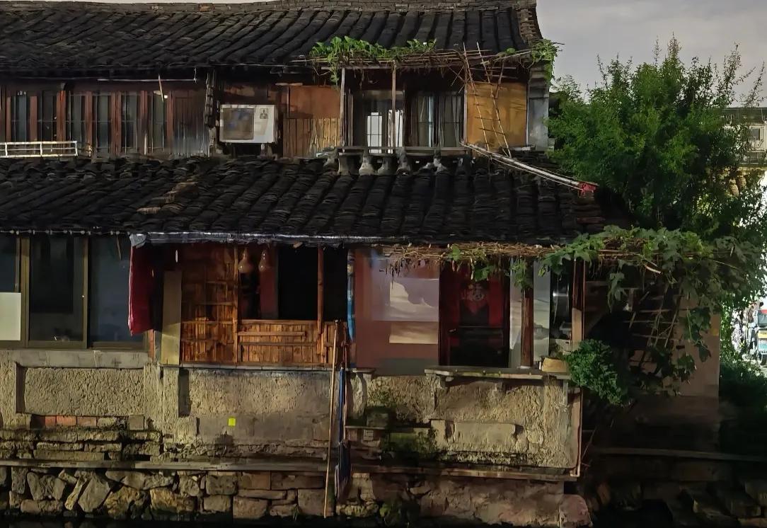 终于明白了！为什么绍兴葫芦爷爷会选择剪掉所有葫芦，不是因为为了卖钱，也不是因为碍
