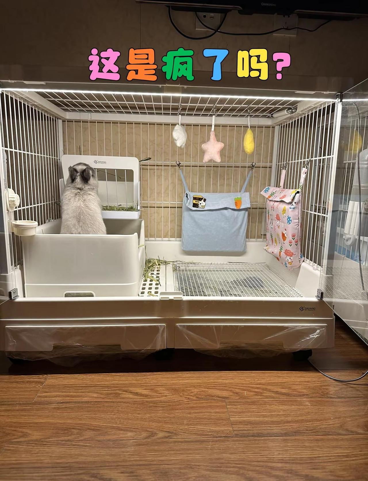 兔子突然这样跳，是应激了吗？ 每次看到我家兔子突然这样蹦跳，心里都会咯噔一下，你