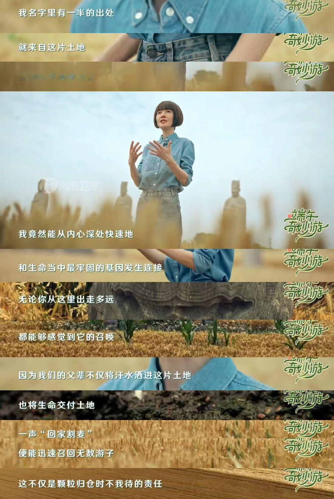 鲁豫这段演讲听哭了金黄麦浪环绕千年石像生，鲁豫在永泰陵麦田倾情讲述麦浪情怀。两百