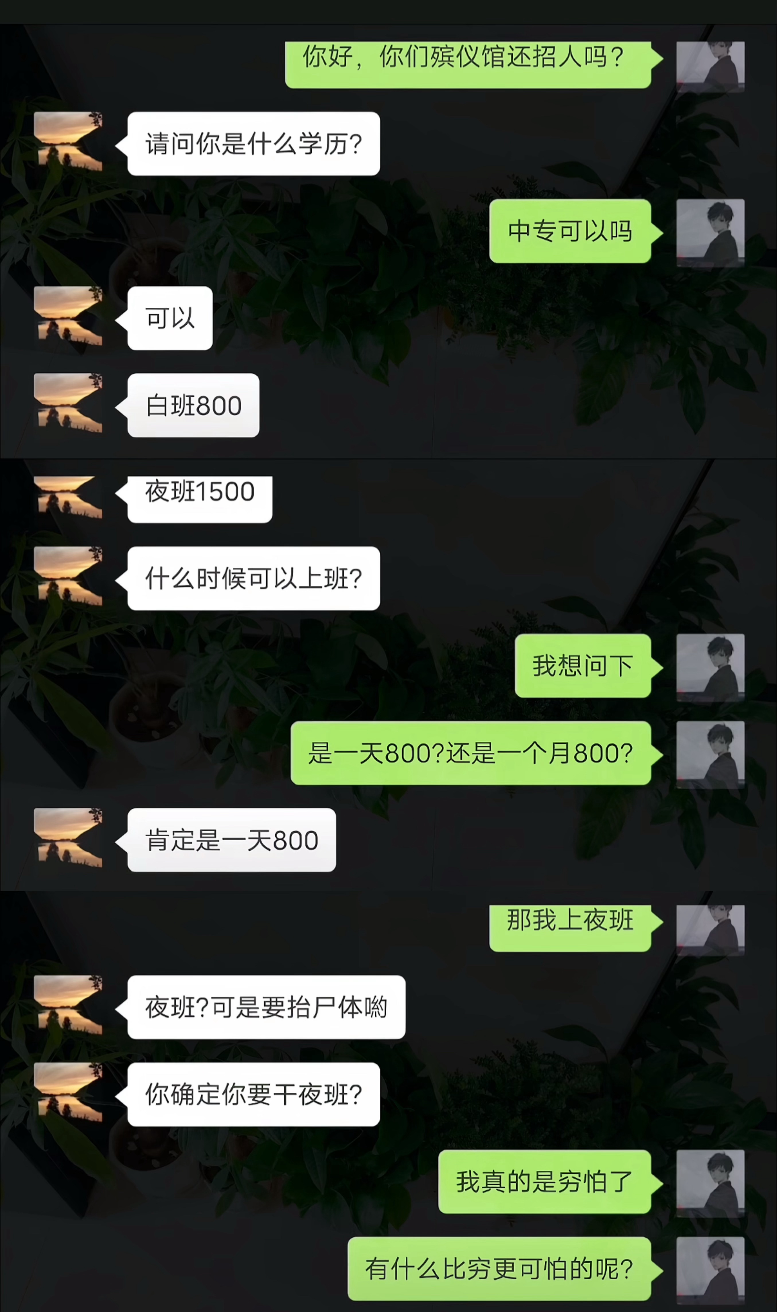 我发现我还是没穷怕 真有这么高我也不敢去 