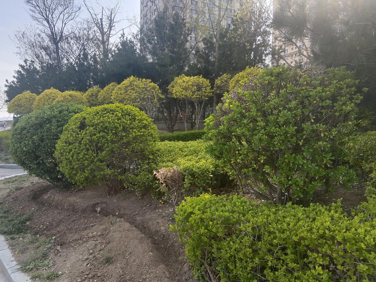 山上的风景照片分享