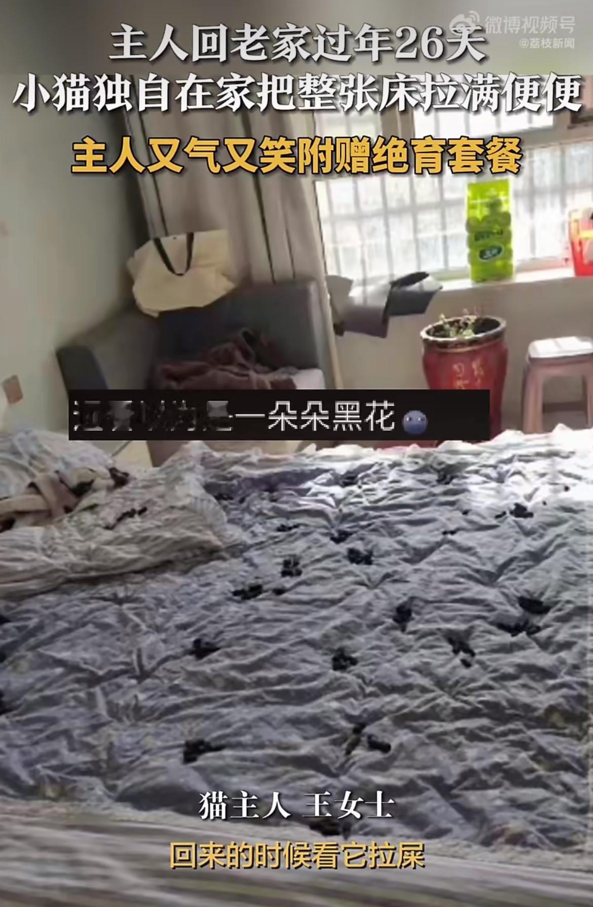 “这下好了，喜提绝育套餐！”过年回家把猫独自留家26天，主人王女士回来一推门差点