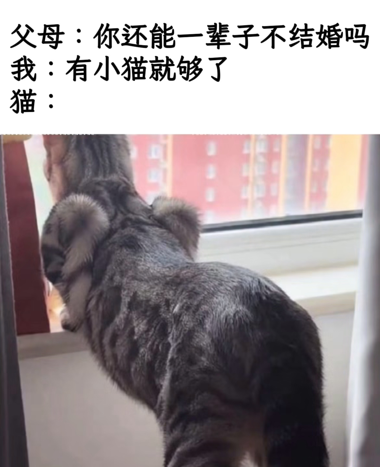 来报恩了memes ​​​