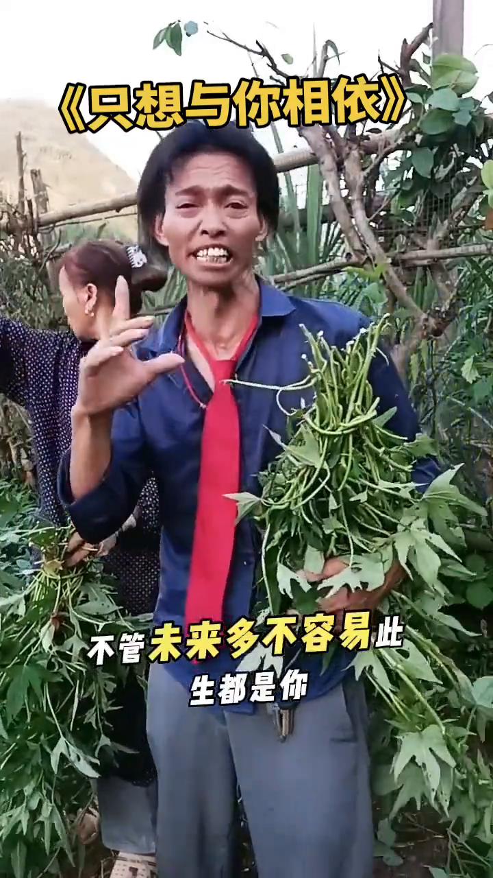 《只想与你相依》。
茫茫人海能遇见你是命中奇迹，不管未来多不容易此生都是你。既然