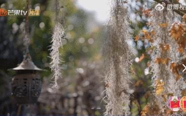 99岁女演员把中国电影带到好莱坞谁懂啊！99 岁的卢燕奶奶，她的故事还是能让人狠