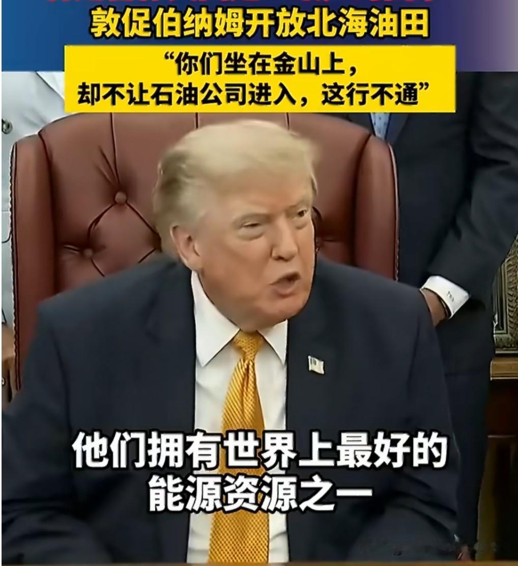 特朗普诲人不倦，伯纳姆进退两难。
话说特朗普当年力劝斯塔默开采北海油田，斯塔默均