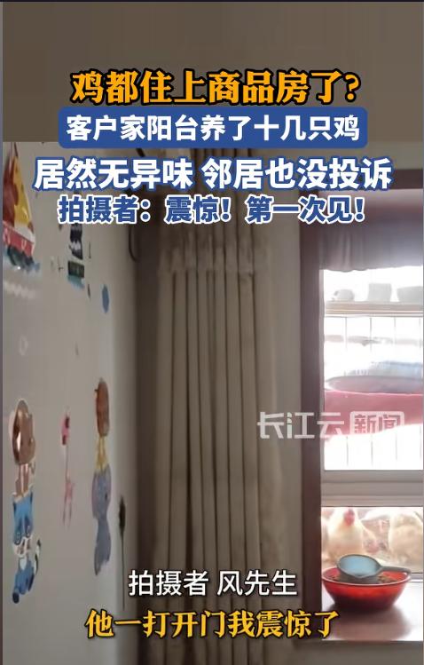 “开眼了！”近日，浙江嘉兴，一男子上门给客户贴墙布时，发现客户竟然把阳台打通了，